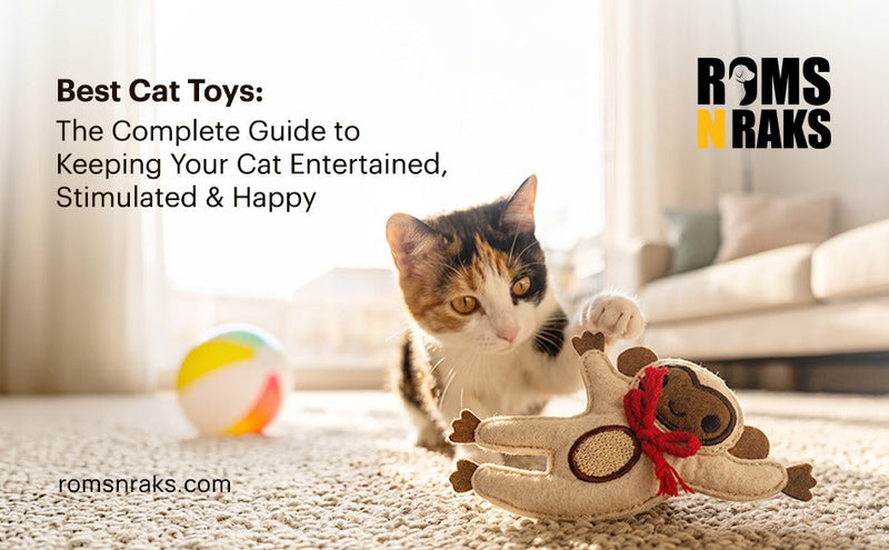Best Cat Toys: The Complete Guide to Keeping Your Cat Entertained, Stimulated & Happy