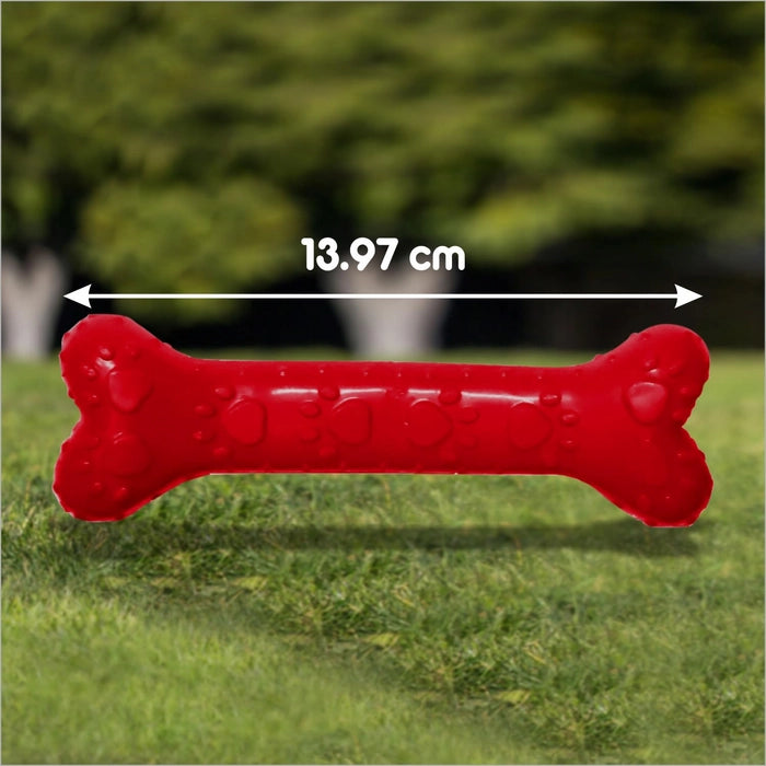 Drools Chew Bone Teething Toy