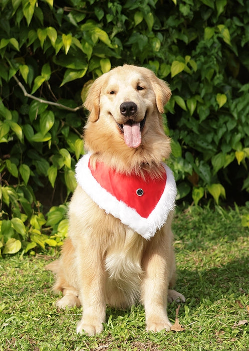 Story Tails Christmas Shearing Bandana