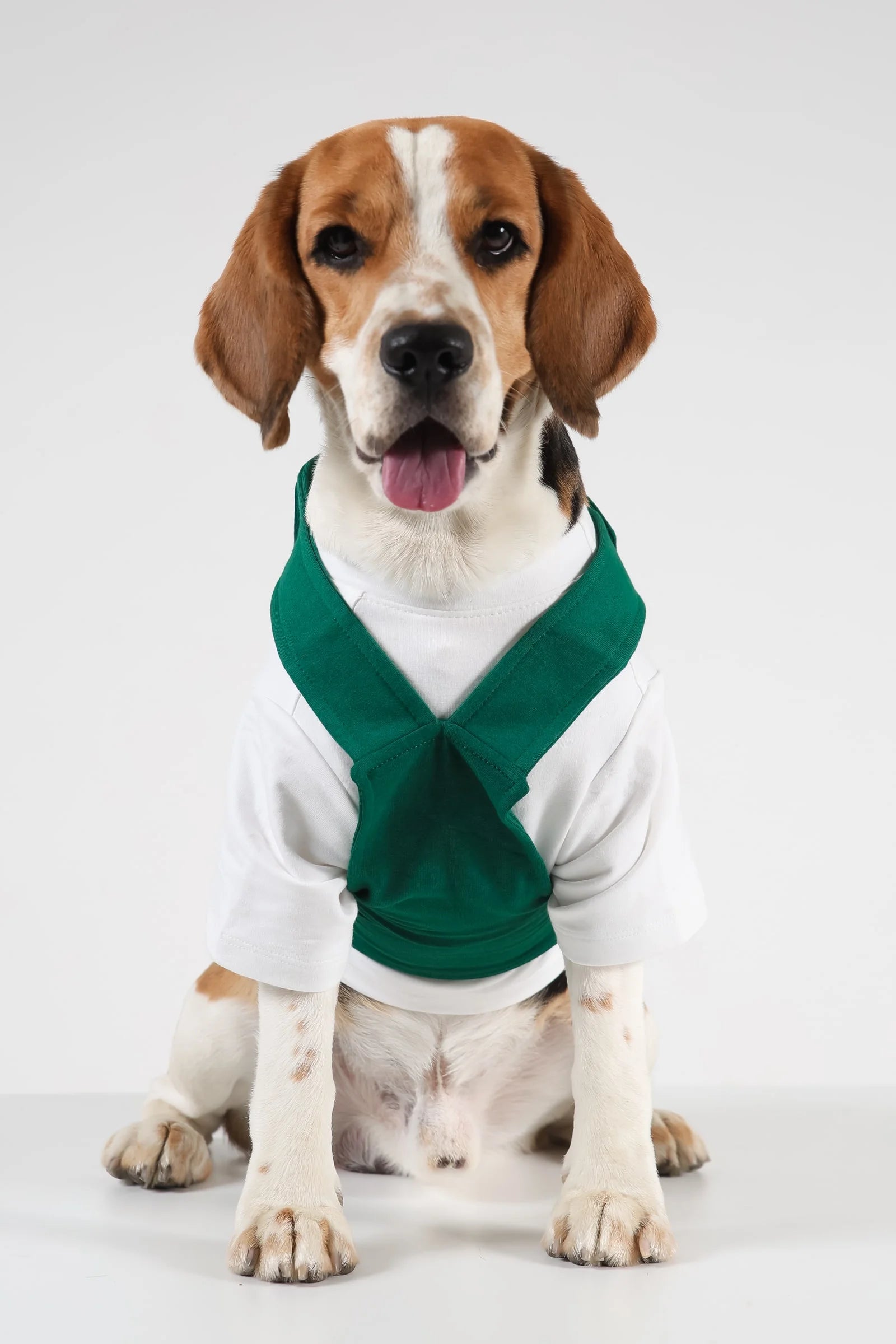 Lemon Tails Back 2 School Dog Dungaree for Dogs