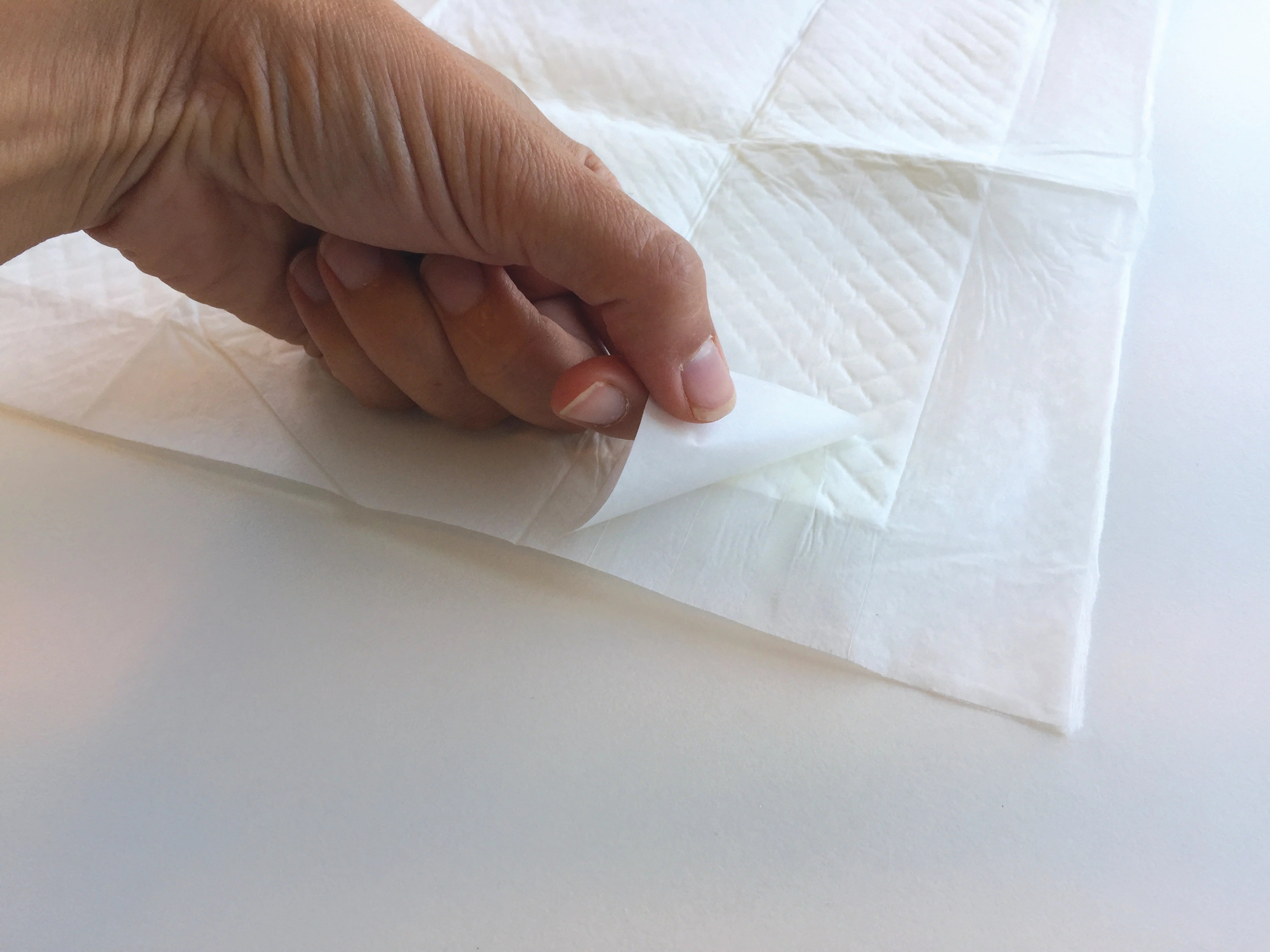 M Pets Easy Fix Training Pads for Dogs