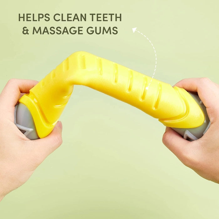 Fofos Barkbutler Flexy Bone Squeaky Dog Chew Toy