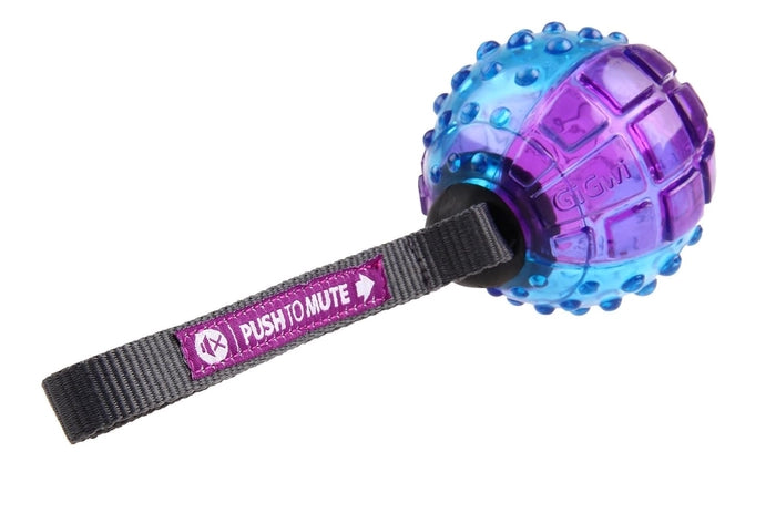 GiGwi Push to Mute Transparent Regular Ball Toy for Dogs