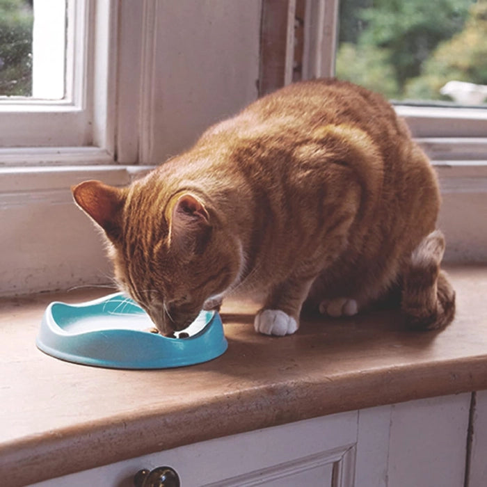 Beco Bamboo Cat Bowl