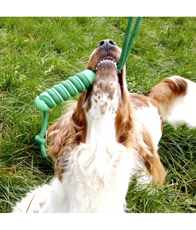 Duvoplus Swing N Chew Sticks