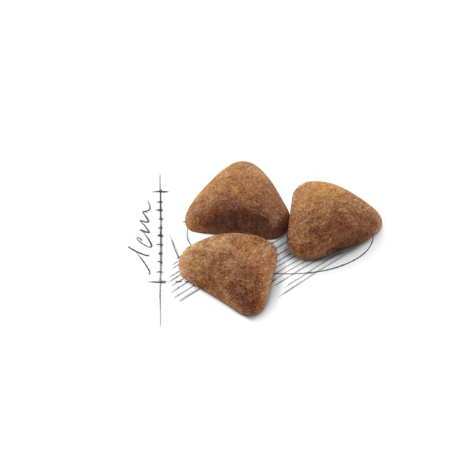 Royal Canin Home Life Indoor 27 Cat  Dry Food