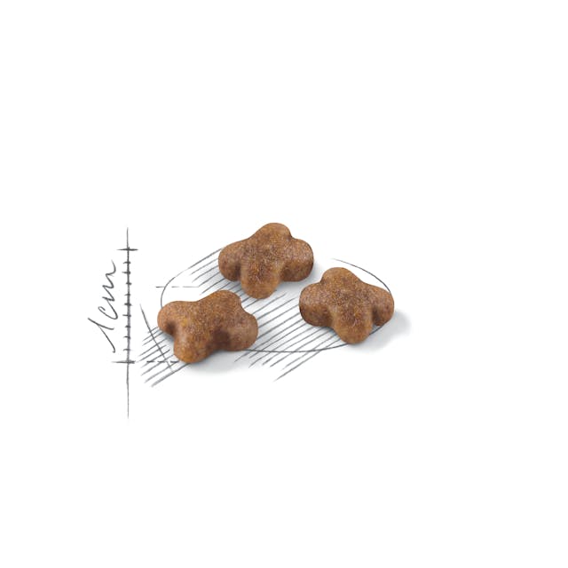 Royal Canin Kitten Cat Dry Food