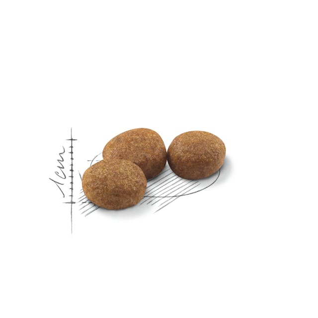 Royal Canin Sterilised Adult Cat Dry Food