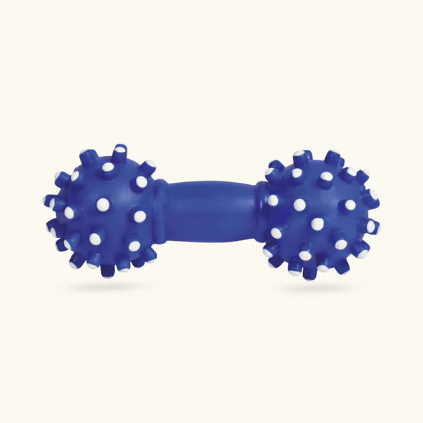 Trixie Sun N Fun Set Toy for Dogs