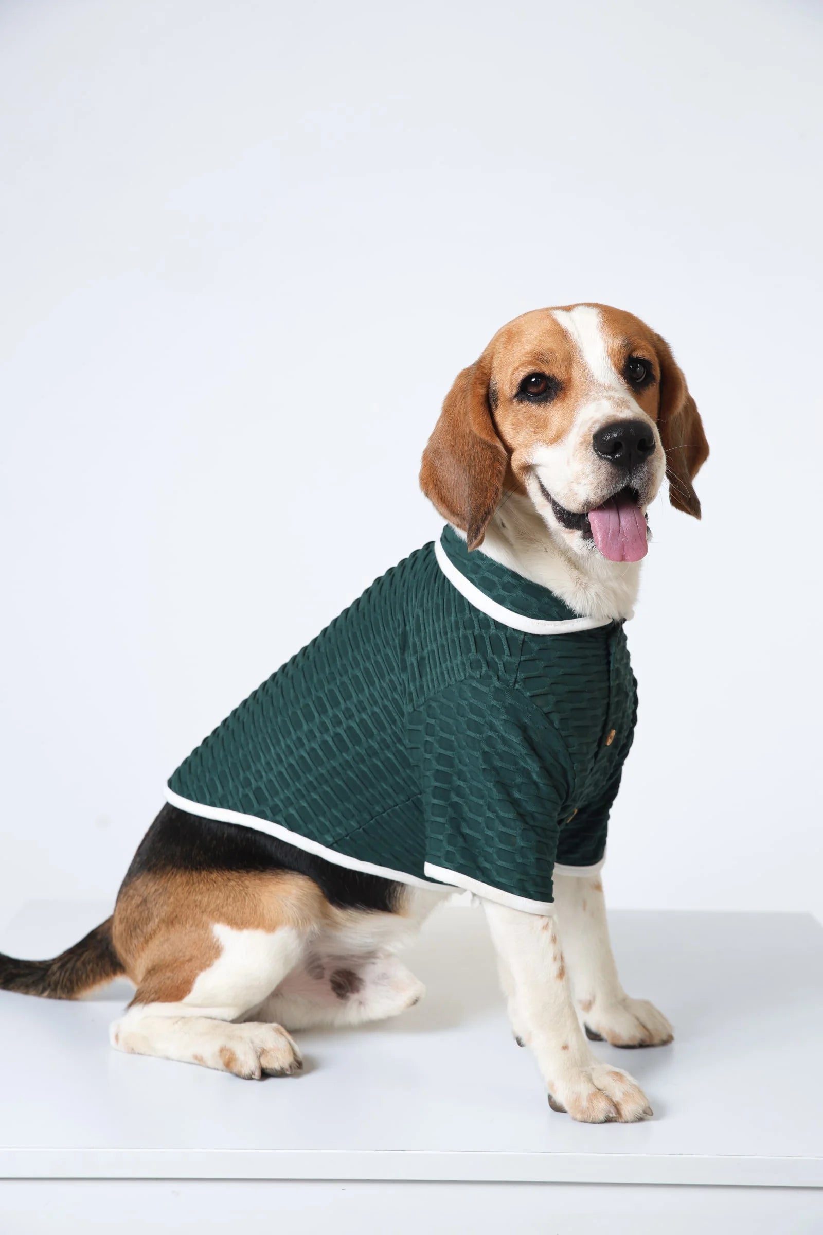 Lemon Tails Style Ultra Light Textured Dog T-shirt
