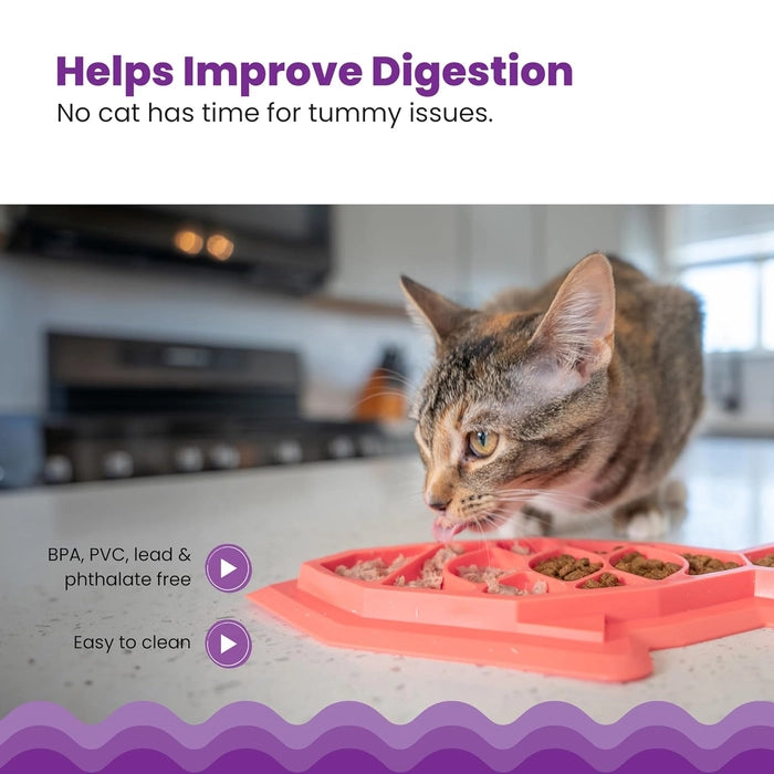 Petstages Slow Feeder Cat Bowl