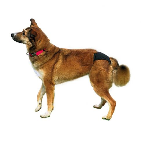Trixie Protective Pants Washable for Dogs