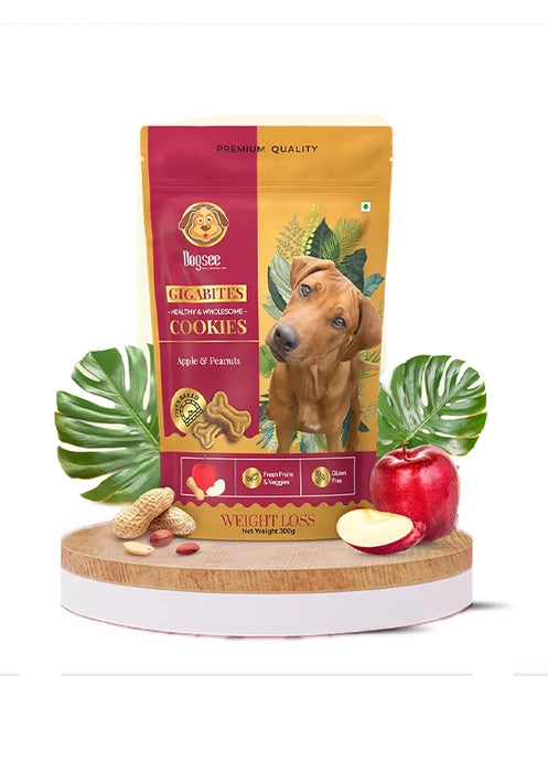 Dogsee Gigabites Cookie Dog Treats