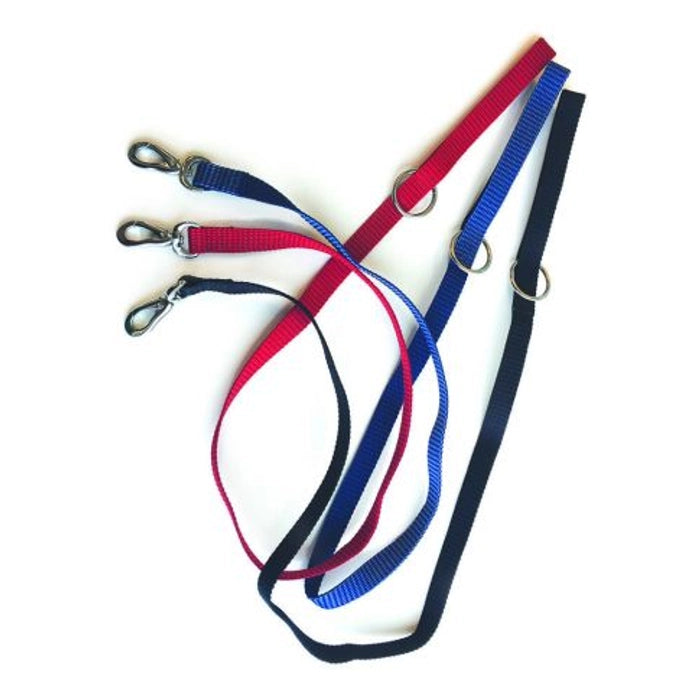 M Pets Sportline Leash for Dogs