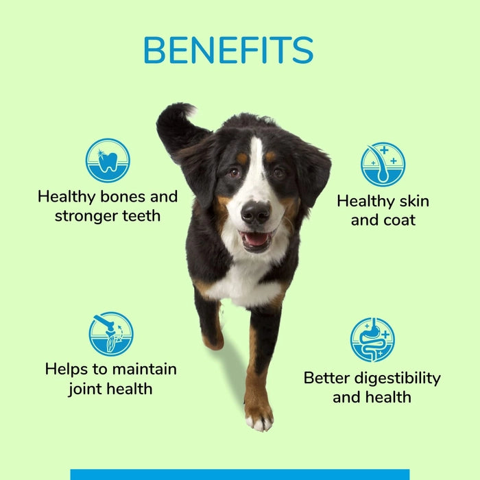 Canine Creek Adult Dog Wet Food