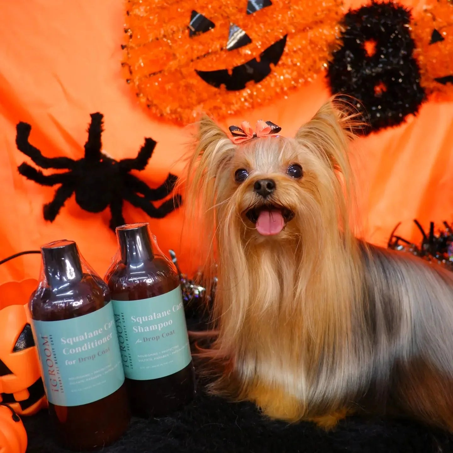 iGroom Squalance Care Dog Shampoo