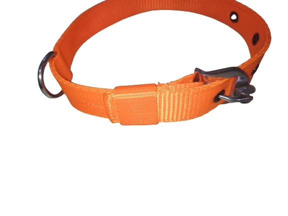 Happy Pets Classic Collar
