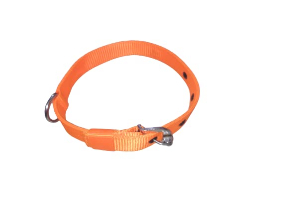 Happy Pets Classic Collar