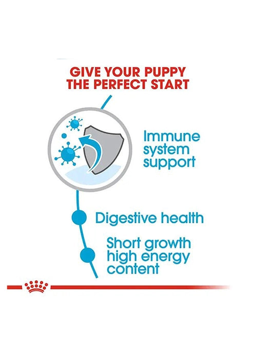 Royal Canin Medium Breed Puppies Dog Dry Food