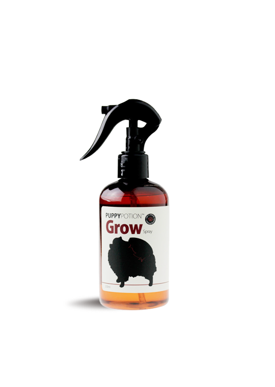 Puppy Potion Grow Spray for Dogs