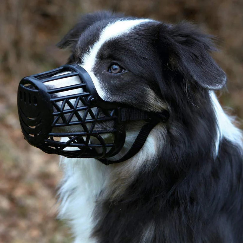 Trixie Nylon Muzzle for Dogs