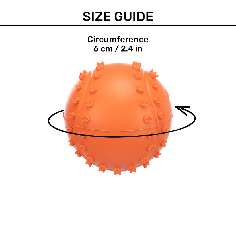 Trixie Natural Rubber Ball Toy for Dogs