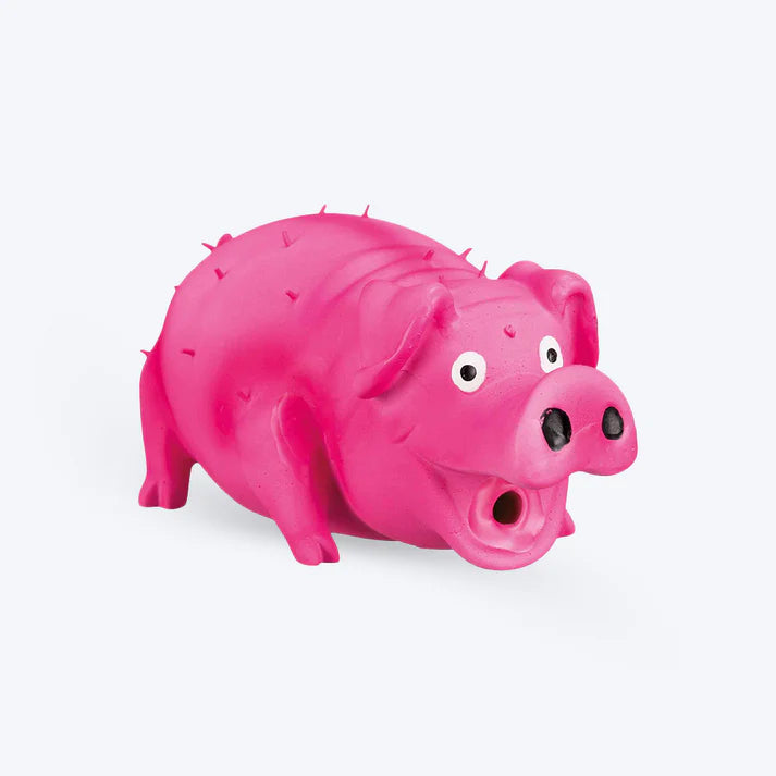 Trixie Bristle Pig with Animal Sound Latex Squeaky Toy for Dogs