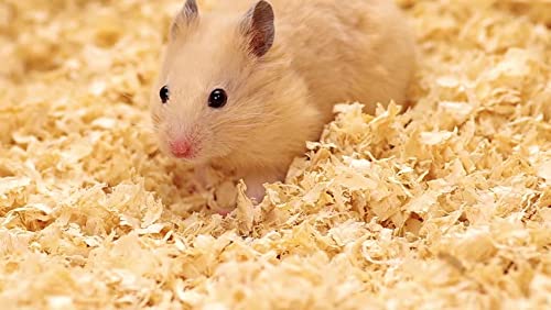 Beaks Hamster Bedding