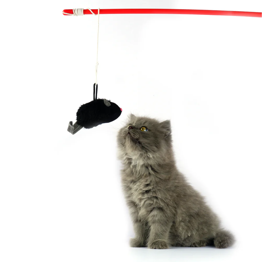 Trixie Squeaky Playing Rod Toy for Cats