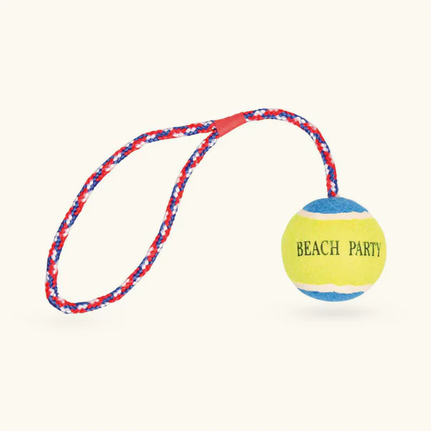 Trixie Sun N Fun Set Toy for Dogs