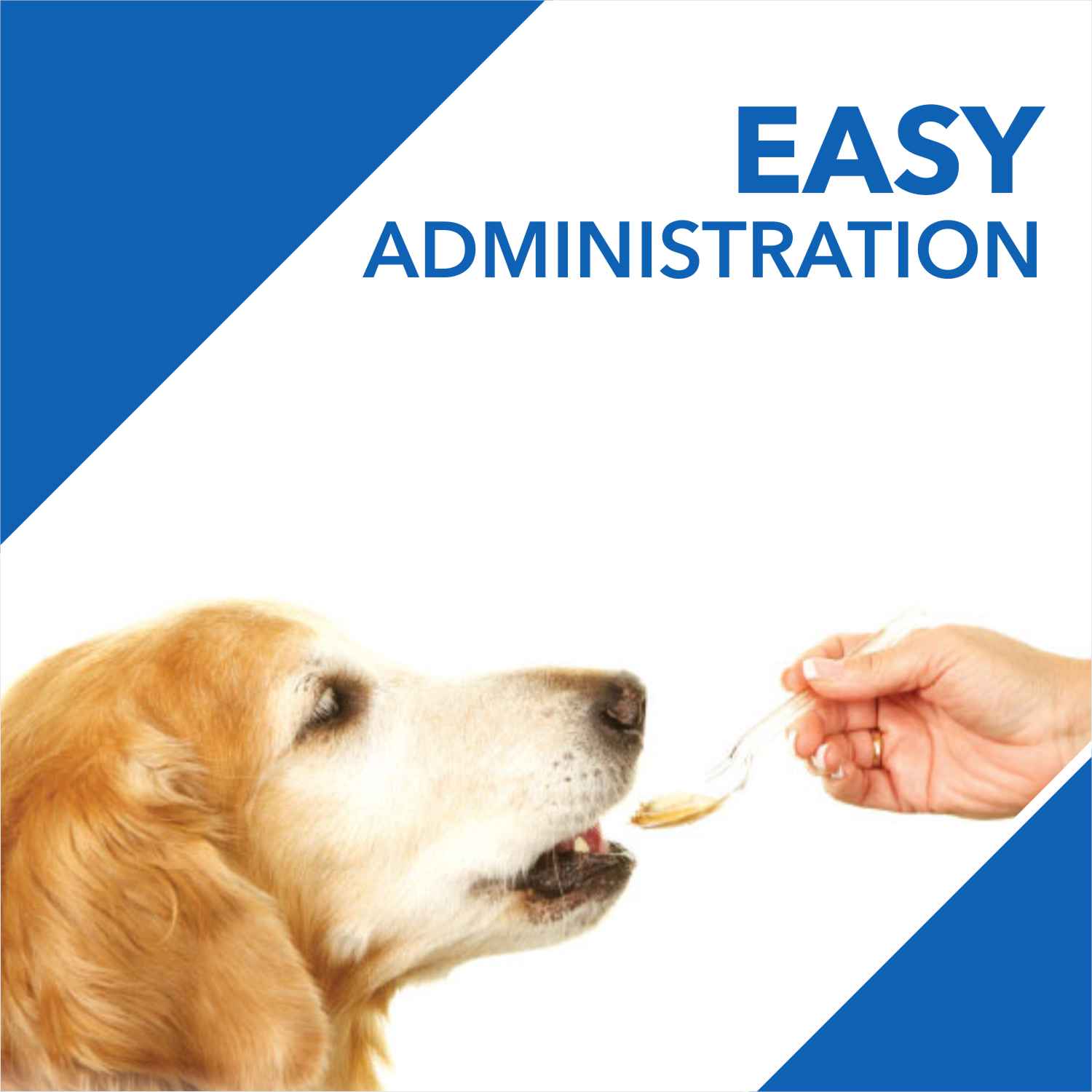 Drools Absolute Vitamin Syrup Supplement for Dogs