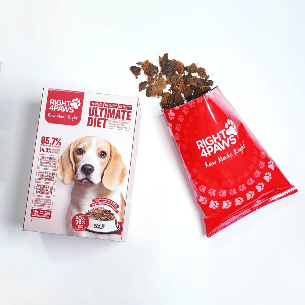 Right 4 Paws Ultimate Diet Toy & Small Adult Dog Dry Food