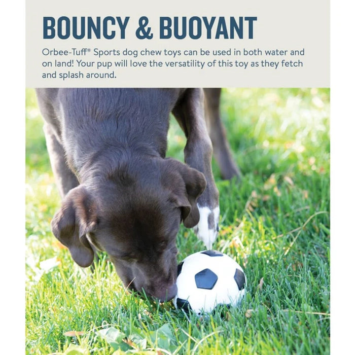 Petstages  Orbee Tuff Soccer Ball for Dogs