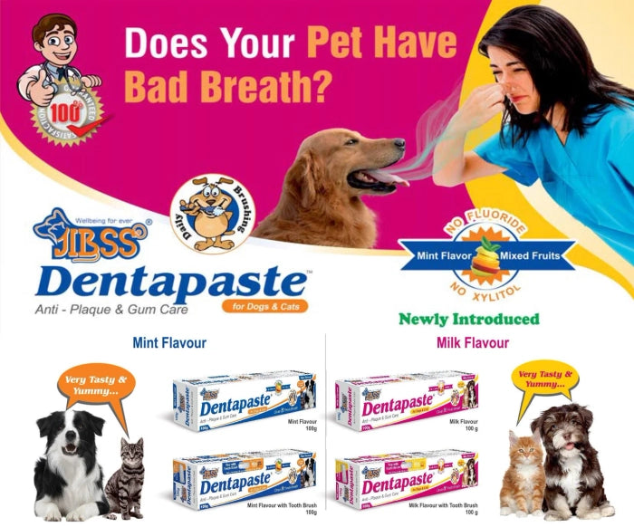 Jibss Dentapaste for Dogs and Cats