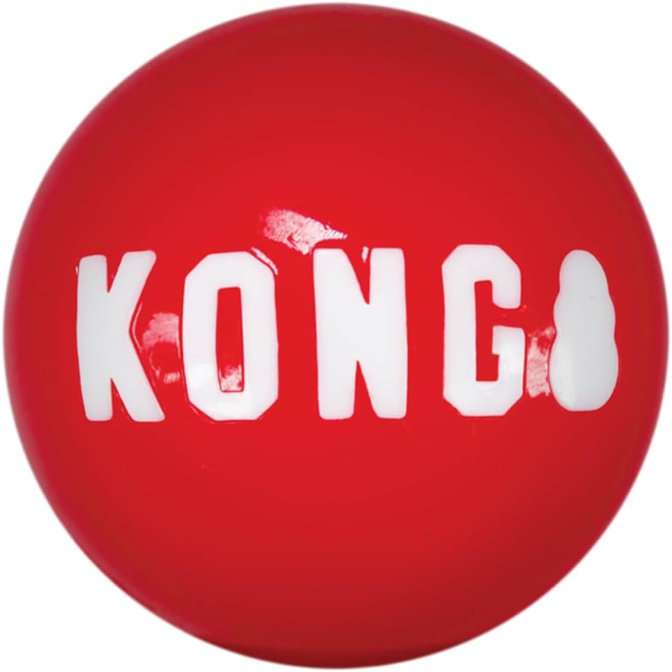 Kong Signature Ball Dog Toy