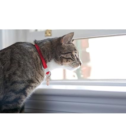 Trixie Metal Chromed Finish I.D Tag for Dogs and Cats