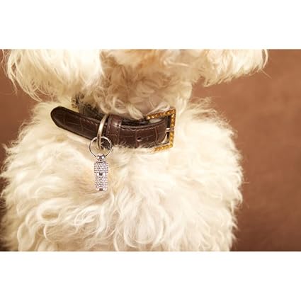 Trixie Metal Chromed Finish I.D Tag for Dogs and Cats