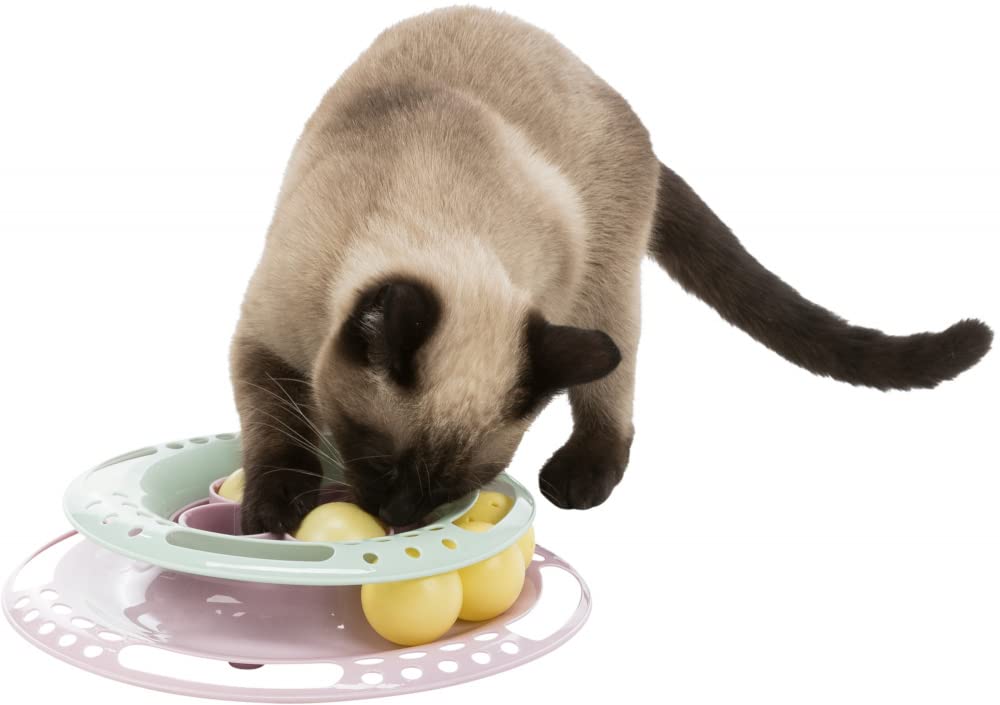 Trixie Junior Circle Toy for Kitten