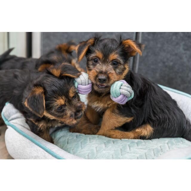 Trixie Junior Rope Dumbbell Toy for Dogs