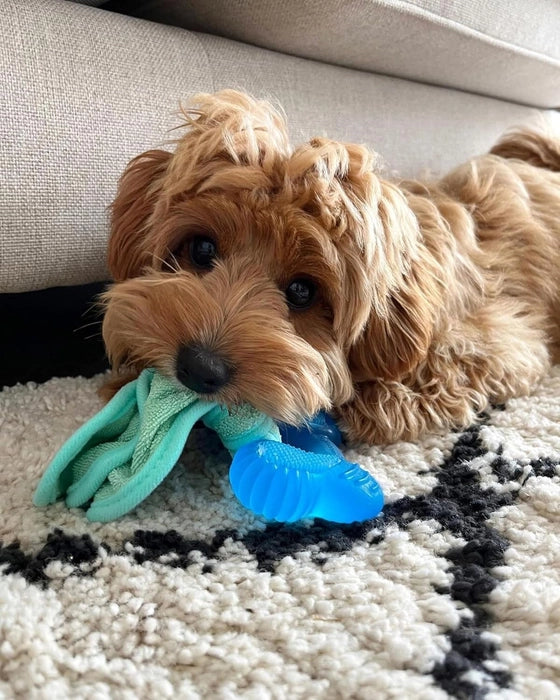 Nylabone Puppy Freezer Bone Chew Toy