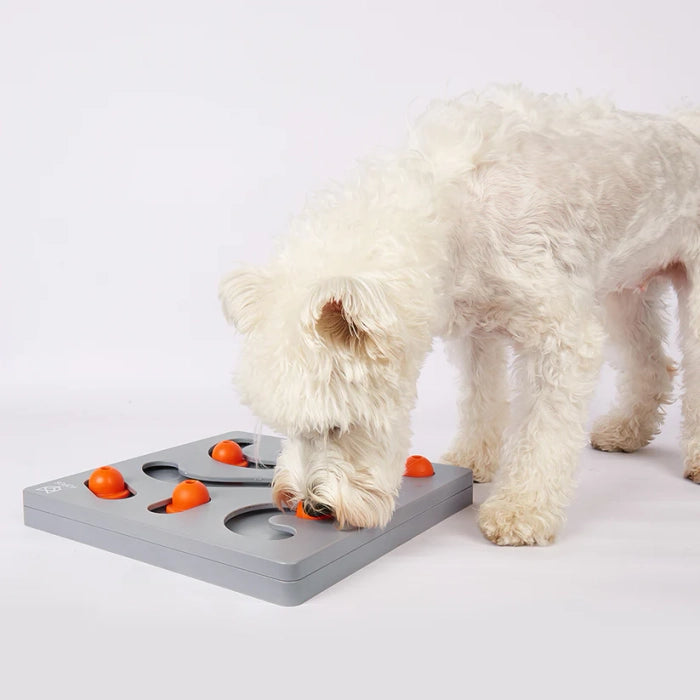Fofos Brain Game Treat Puzzle Dog Toy