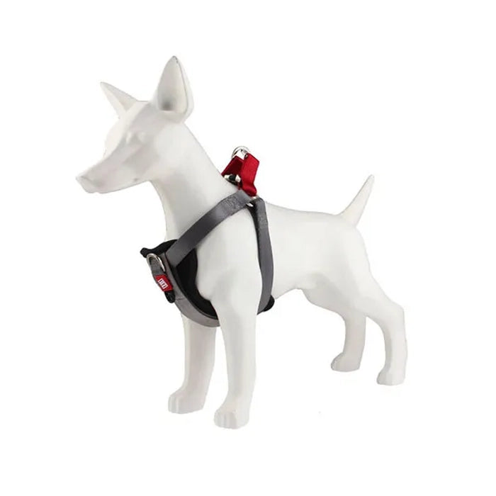 GiGwi Premium Line Harness for Dogs