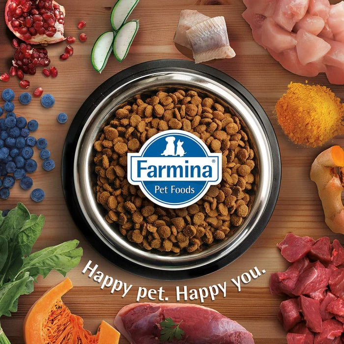 Farmina Team Breeder Top Salmon Adult Dog Dry Food