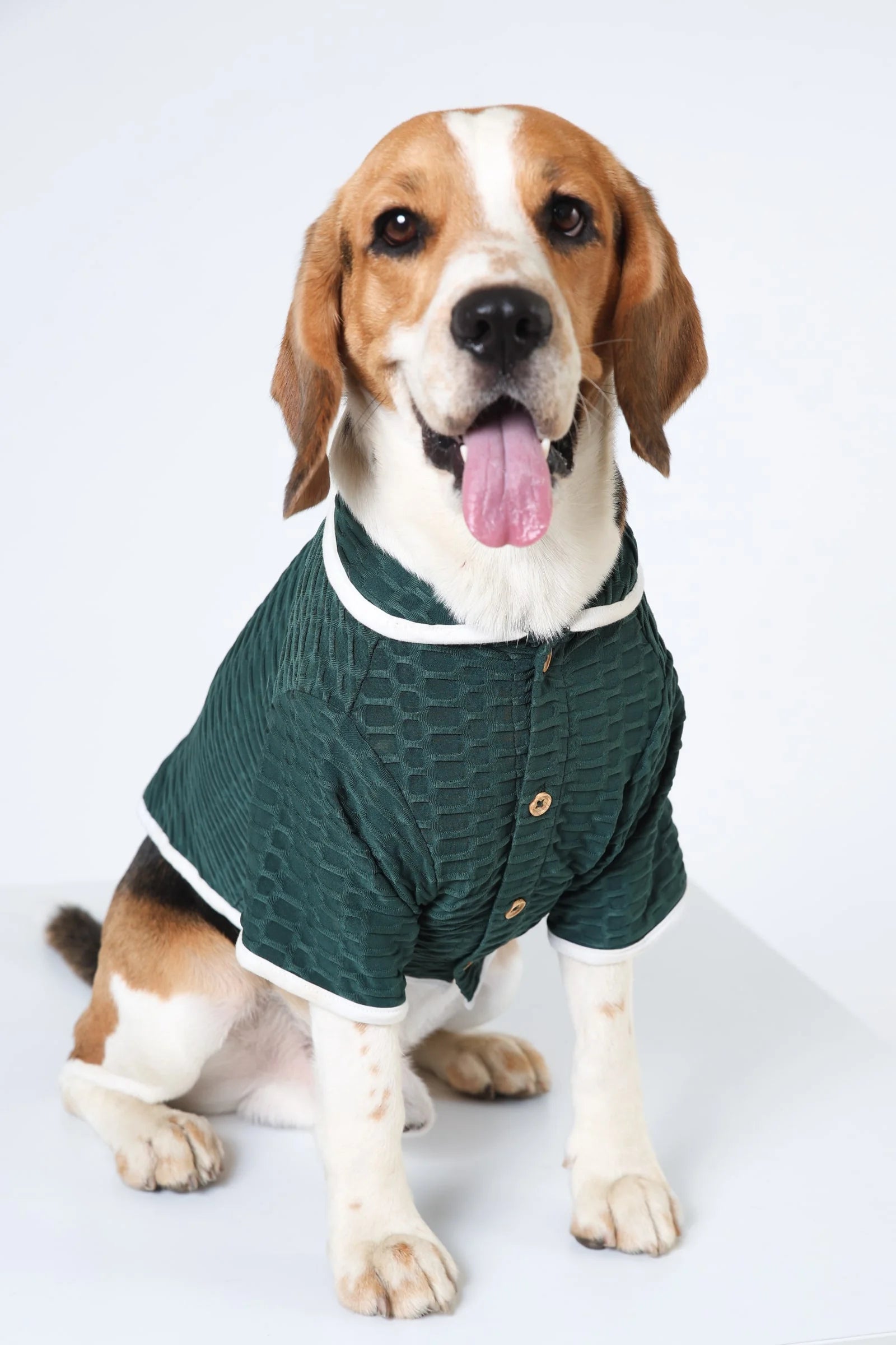 Lemon Tails Style Ultra Light Textured Dog T-shirt