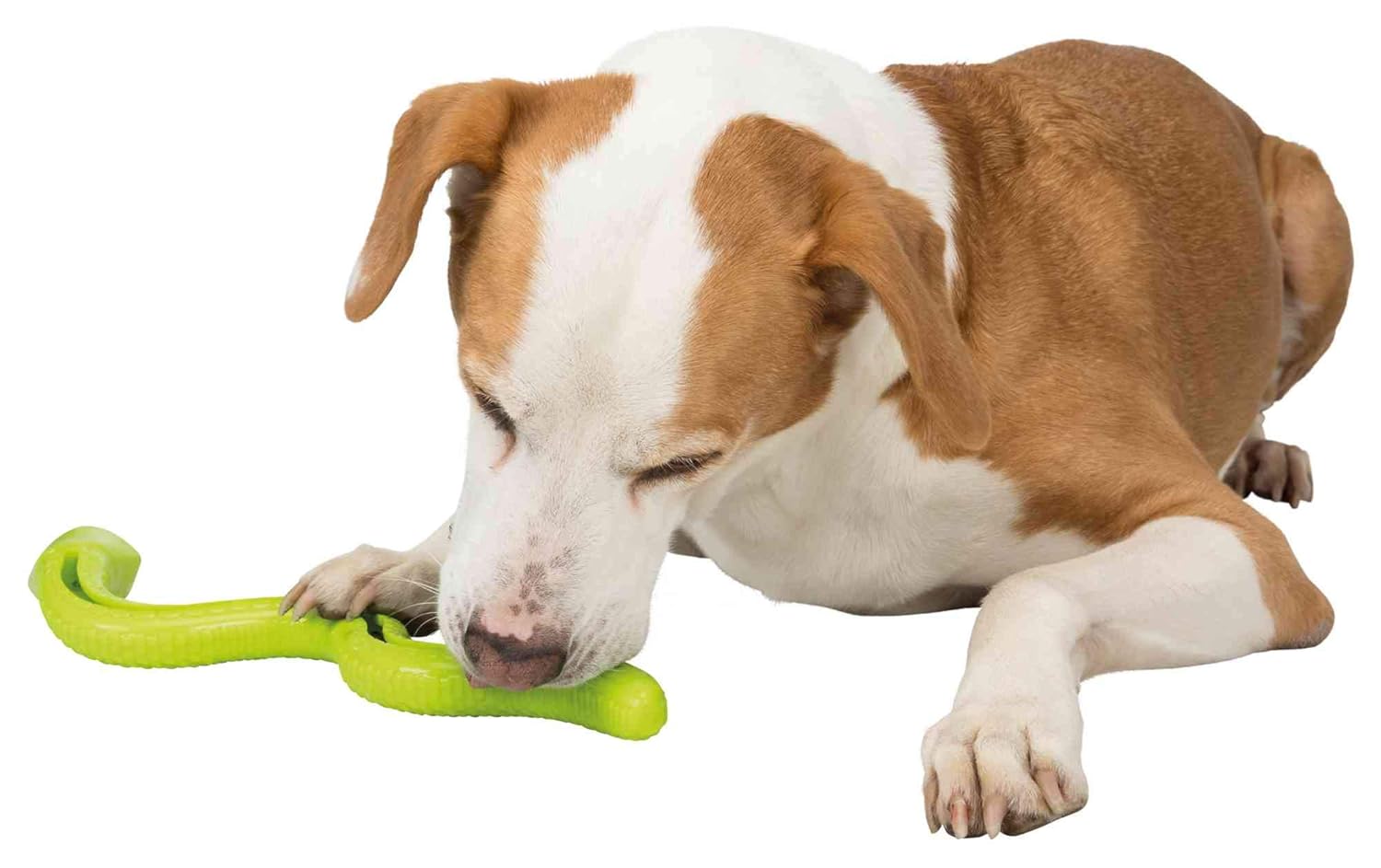 Trixie Thermoplastic Rubber Snack Snake Toy for Dogs