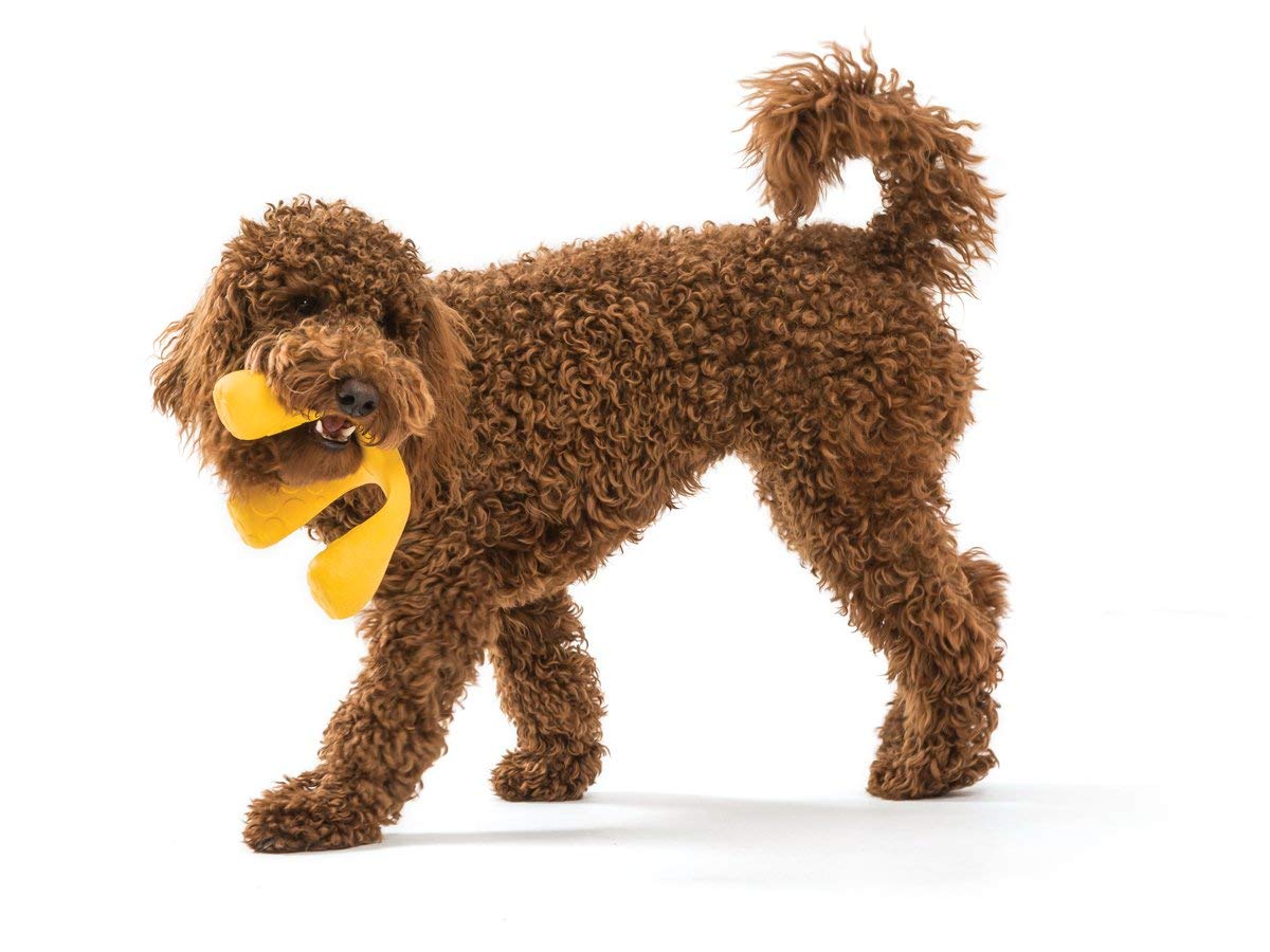 West Paw Zogoflex Air Wox Interactive Dog Toy