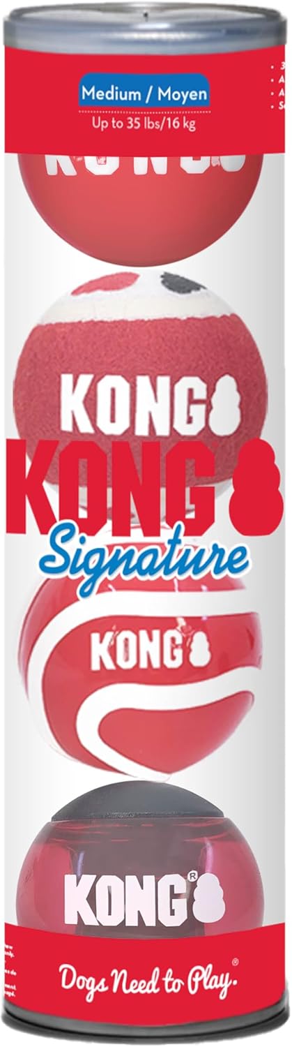 Kong Signature Ball Dog Toy