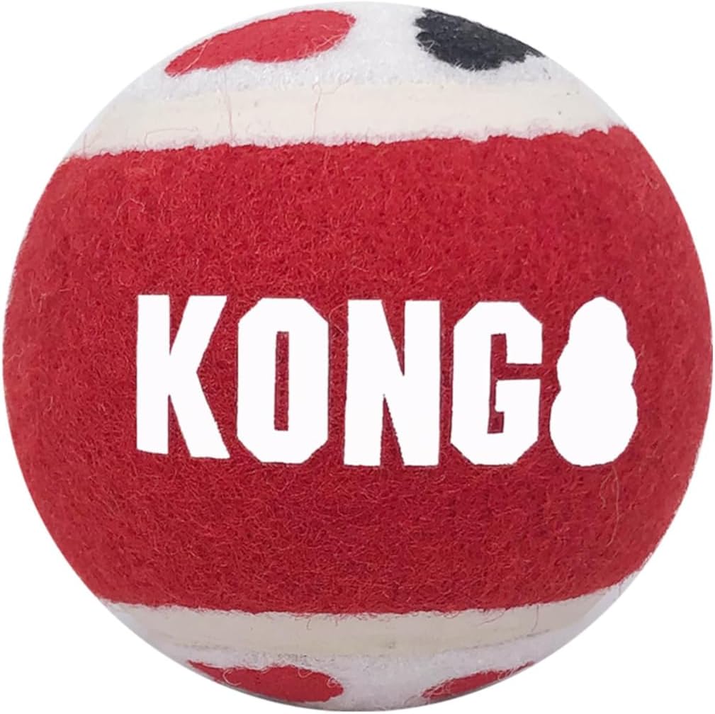 Kong Signature Ball Dog Toy