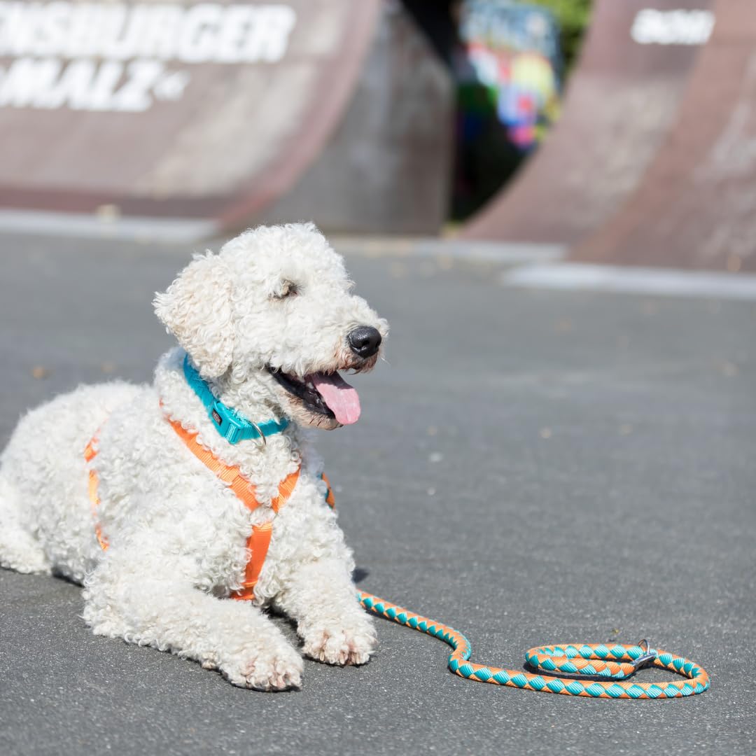 Trixie Cavo Adjustable Lead for Dogs