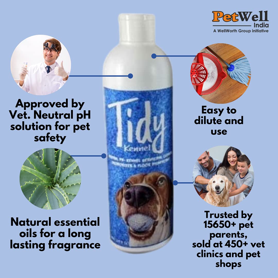 Tidy Kennel Wash
